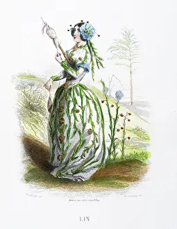 Grandville Prints: The flax linen flower - Stunning Hand-colored plate from 'Les Fleurs Animees by J