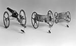 Flea Pulling Miniature Chariot