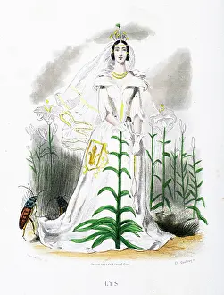 Grandville Prints: Fleur-de-lis Lilium - Stunning Hand-colored plate from 'Les Fleurs Animees by J