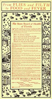 Florida Prints: From Flies and Filth