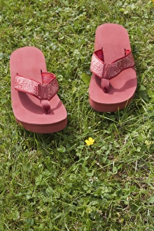 Images Dated 28th June 2012: Flip flops on grass