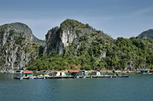 Southeast Prints: Floating village, Halong Bay, Vietnam, Southeast Asia