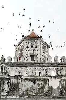 Images Dated 31st January 2015: Flock of pigeons fly past a fort