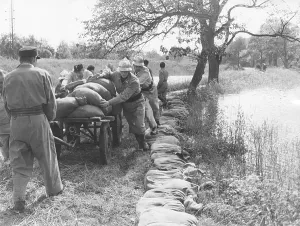 Fire Department Prints: Flood near Pöchlarn