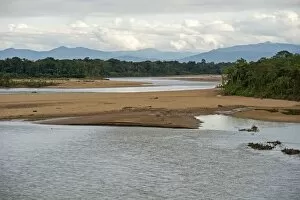 Images Dated 31st May 2014: Flooded areas on the banks of the Tambopata River, Tambopata Nature Reserve, Madre de Dios region