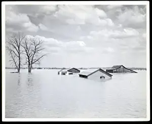 Flood Prints: Flooded Barns and Homes