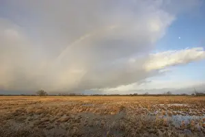 Phenomenon Prints: Flooded meadows with rainbow, Wuemmewiesen nature reserve, Bremen, Germany, Europe