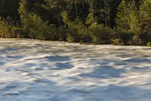 Flows Prints: Floodwaters on the Isar river, Ascholding Au floodplains