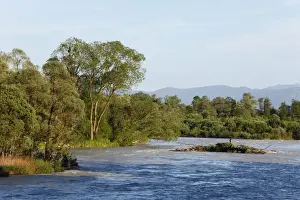 Flows Prints: Floodwaters on the Isar river, Ascholding Au floodplains