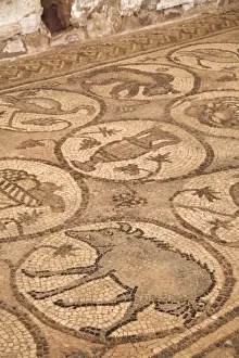 Western Asia Prints: Floor mosaics, Petra Church (also known as the Byzantine Church)