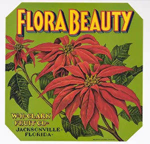 Brand Prints: Flora Beauty