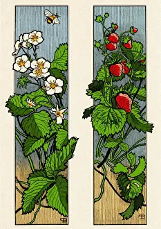 Floral ornament with strawberry fruit and blossom plant decorative art nouveau 1897