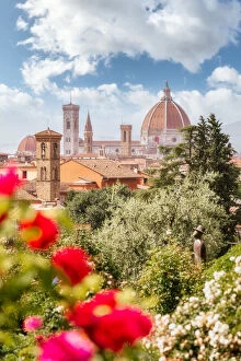 Francesco Riccardo Iacomino Travel Photography Gallery: Florence, Tuscany, Italy. Flowers in foreground in springtime