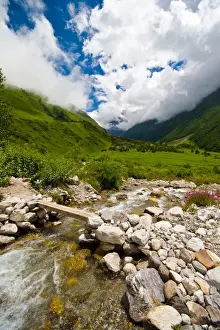 Blank Prints: Flow down to the valley