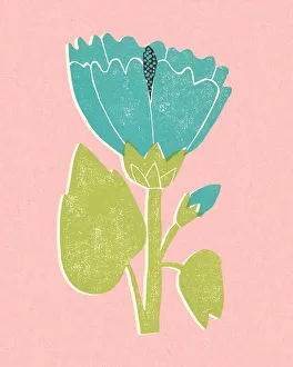 Images Dated 2nd February 2015: Flower