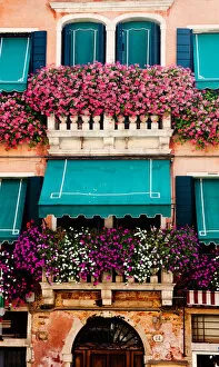 Balcony Gallery: Flower arrangement