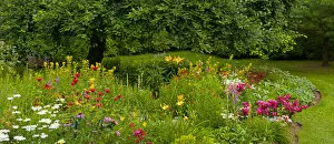 Images Dated 19th July 2014: Flower garden, Knowlton, Eastern Townships, Quebec, Canada
