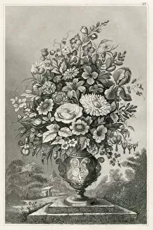 Images Dated 25th March 2017: Flower vase engraving 1873