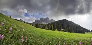 Province Of South Tyrol Prints: Flowering mountain pasture after a thunderstorm at Zanser Alm alp with the Geisler Group