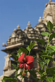 Mahadeva Temple Prints: Flowering plant with temple in the background