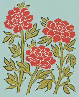 Three Flowers