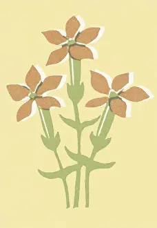 Garden Variety Prints: Three Flowers
