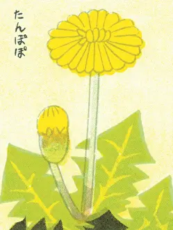 Dandelion Prints: Flowers