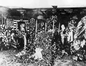 Prints of September 1926: The flower-strewn bier of film actor Rudolph Valentino at his funeral. (Photo by Topical Press Agency/Getty Images) The Original Latin Lover: Experience the Magnetic Charm of Silent Film’s Most Dashing Heartthrob: Flowers At Bier