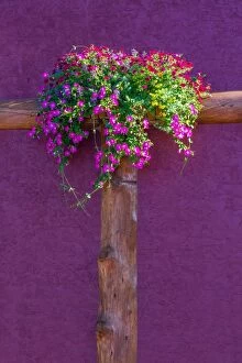 Images Dated 5th August 2015: Flowers on side of building at Waterton Lakes Canada