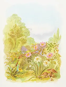 Flowers Chromolithography 1883