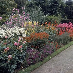 Heritage Images Gallery: Flowers At Nymans