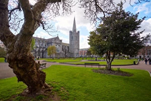 Flowers in St. Patricks Park and St. Patricks Cathedral in Dublin City, Ireland