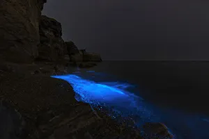 Images Dated 14th April 2019: Fluorescent beach In Yellow Sea