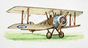 Biplane Gallery: Flying camel, front view