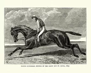 Images Dated 5th January 2018: Flying Dutchman, a British Thoroughbred racehorse, 19th century