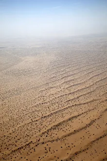 Aerial Collection: Flying over a settlement in the desert of the United Arab Emirates, with scattered habitation