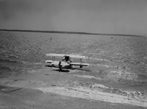 Shallow Prints: Flying Walrus