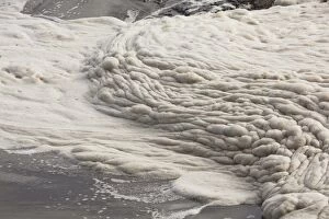 Images Dated 19th January 2012: Foam Forms On The Surface Of The Water At Chestermans Beach Near Tofino
