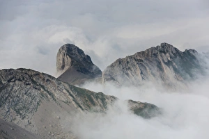Images Dated 3rd September 2012: Fog in the Alpstein Range with a view towards Oehrli Mountain, Appenzell, Switzerland, Europe