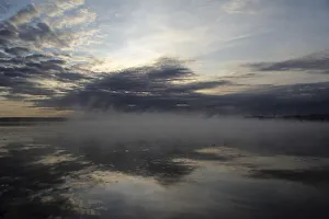 Images Dated 23rd June 2012: Fog bank at Federsee Lake near Bad Buchau, Upper Swabia, Baden-Wuerttemberg, Germany, Europe