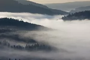 Morning Fog Gallery: Fog in the Black Forest above Schluchsee Lake, Breisgau in the Black Forest, Baden-Wuerttemberg