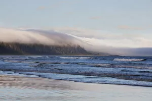 Rain Forest Gallery: Fog Forms Over The Temperate Rainforest Along Long Beach In Pacific Rim National Park Near Tofino