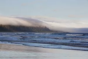 Haze Gallery: Fog Forms Over The Temperate Rainforest Along Long Beach In Pacific Rim National Park Near Tofino;