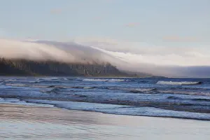 Rain Forest Prints: Fog Forms Over The Temperate Rainforest Along Long Beach In Pacific Rim National Park Near Tofino