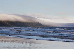 Prints of Fog Forms Over The Temperate Rainforest Along Long Beach In Pacific Rim National Park Near Tofino; British Columbia Canada UNESCO World Heritage Prints: Fog Forms Over The Temperate Rainforest Along Long Beach In Pacific Rim National Park Near Tofino; British Columbia