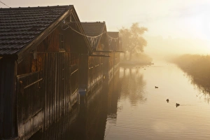 Images Dated 30th September 2011: Fog on Lake Staffelsee with the island of Woerth near Seehausen, Murnau, Upper Bavaria, Bavaria