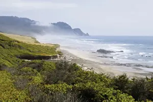 Fog Along The Oregon Coastline