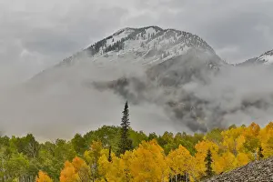 Fog rising around East Beckwith Mountain near Crested Butte in fall colors, Colorado, USA