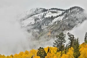 Images Dated 2nd October 2017: Fog Rolling on Mountain Surrounded by autumn colors, Crested Butte, Colorado, USA