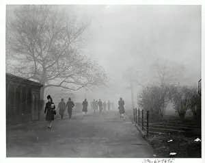 Gloomy Prints: Fog Scene